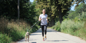Beitragsbild des Blogbeitrags Kann man mit einem Whippet auch Joggen gehen?
