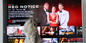 Beitragsbild des Blogbeitrags Streaming & Chill – Aktuelle Filmtipps