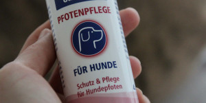 Beitragsbild des Blogbeitrags Pfotenpflege für den Hund – Schutz und Pflege für Hundepfoten