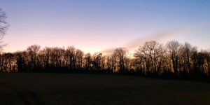 Beitragsbild des Blogbeitrags Was es ist