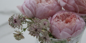 Beitragsbild des Blogbeitrags Kein Garten ohne Rosen – Über Rosenliebe und den ersten eigenen Garten 