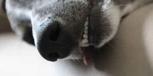 Beitragsbild des Blogbeitrags Müde, müde, müde – 5 Tipps für mehr Energie