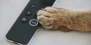 Beitragsbild des Blogbeitrags Streaming Tipps fürs Wochenende