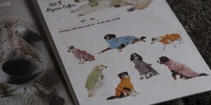 Beitragsbild des Blogbeitrags Praktische Weihnachtsgeschenksideen für Hunde & Hundehalter