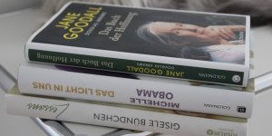 Beitragsbild des Blogbeitrags Drei interessante Bücher von inspirierenden Frauen