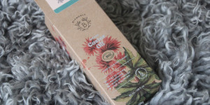 Beitragsbild des Blogbeitrags Castor Oil – Rizinusöl für Augenbrauen & Wimpern