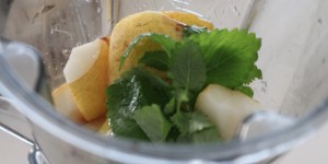 Beitragsbild des Blogbeitrags Impressionen der Woche