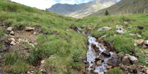 Beitragsbild des Blogbeitrags Sommerpause