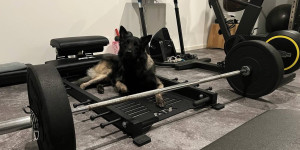 Beitragsbild des Blogbeitrags Kann man auch ohne Fitnessstudio fit werden?