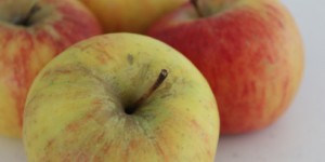 Beitragsbild des Blogbeitrags Impressionen der Woche