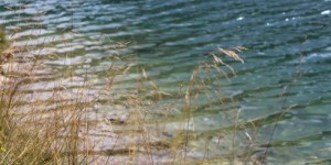 Beitragsbild des Blogbeitrags Entspannt in zwei Minuten – geführte Tiefenentspannung