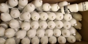 Beitragsbild des Blogbeitrags Impressionen der Woche
