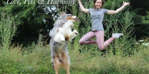 Beitragsbild des Blogbeitrags Tadaaa: Love, Pets & Harmony 