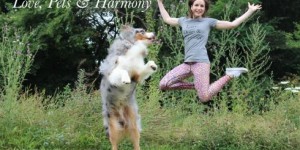 Beitragsbild des Blogbeitrags Tadaaa: Love, Pets & Harmony