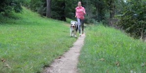 Beitragsbild des Blogbeitrags Tankstellen im Alltag