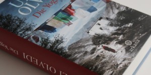 Beitragsbild des Blogbeitrags Buch-Review: Die Yogini