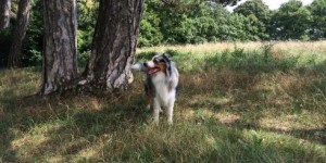 Beitragsbild des Blogbeitrags Impressionen der Woche