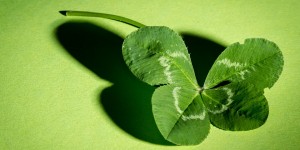 Beitragsbild des Blogbeitrags Glücklich ins Cupfinale!
