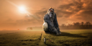 Beitragsbild des Blogbeitrags Dosenfurcht