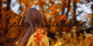 Beitragsbild des Blogbeitrags #6 Die besten Events im Oktober! Pt.2 #gratis #billig
