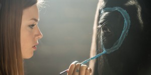 Beitragsbild des Blogbeitrags Wintergewinnspiel zum DVD Start von “Ostwind – Aufbruch nach Ora”