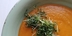 Beitragsbild des Blogbeitrags ° Vegan Monday ° Rote Linsen-Kokos-Suppe
