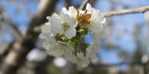 Beitragsbild des Blogbeitrags Life Update / FAQ