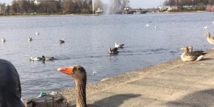 Beitragsbild des Blogbeitrags Eindrücke aus Hamburg
