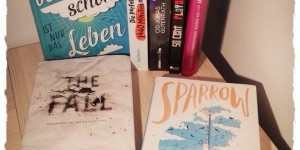 Beitragsbild des Blogbeitrags Monatsrückblick Januar+Februar 2018