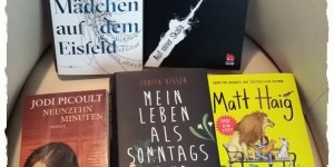 Beitragsbild des Blogbeitrags Monatsrückblick Juni 2019
