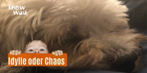Beitragsbild des Blogbeitrags Kind und Hund, Idylle oder Chaos