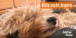 Beitragsbild des Blogbeitrags Bitte nicht ärgern! 