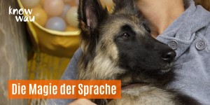 Beitragsbild des Blogbeitrags Die Magie der Sprache 