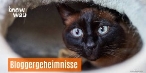 Beitragsbild des Blogbeitrags Bloggergeheimnisse