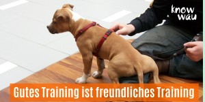 Beitragsbild des Blogbeitrags Gutes Training ist freundliches Training
