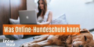 Beitragsbild des Blogbeitrags Was Online Hundeschule kann