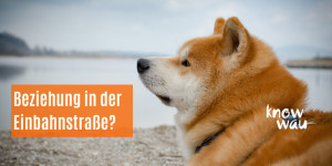 Beitragsbild des Blogbeitrags Beziehung in der Einbahnstrasse