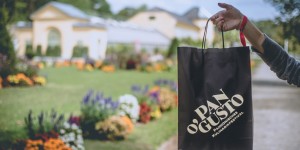 Beitragsbild des Blogbeitrags Pan O’Gusto 2017 