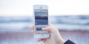 Beitragsbild des Blogbeitrags Regional, saisonal, Doppelmoral