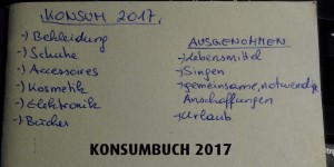 Beitragsbild des Blogbeitrags Monatsrückblick Jänner [Konsumbuch 2017] 