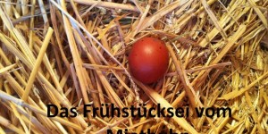 Beitragsbild des Blogbeitrags Das Frühstücksei vom Miethuhn 