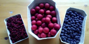 Beitragsbild des Blogbeitrags Wenn mit der FoodCoop Vielfalt einzieht
