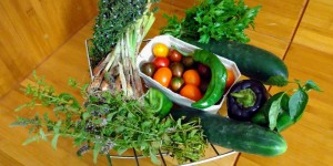 Beitragsbild des Blogbeitrags Pure Vielfalt – Das Gemüsekistl von  Biogemüse Hopf 