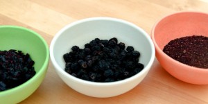 Beitragsbild des Blogbeitrags Wusstest du schon, was Aronia alles kann?