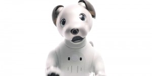 Beitragsbild des Blogbeitrags Entertainment Robot “aibo” Announced – Sony aibo 2017 Announcing Trailer – AI Dog Robot 