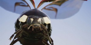 Beitragsbild des Blogbeitrags Xbox One X Enhanced – Insects Demo XBOX Store 