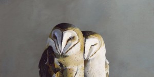Beitragsbild des Blogbeitrags This Artist Combines Funny Titles With His Bird Paintings, And You’ll Be Surprised How Relatable They Are
