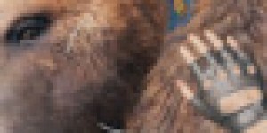 Beitragsbild des Blogbeitrags Far Cry 5 Review: Rocky Mountain High