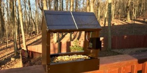 Beitragsbild des Blogbeitrags Build a solar-powered nature camera for your garden 