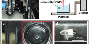 Beitragsbild des Blogbeitrags Russian Physicists Develop Special Nanoparticles for Biomedical 3D Printing Process 